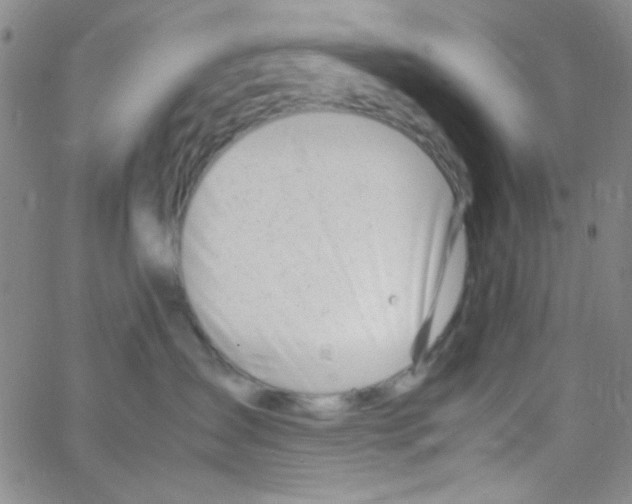 X0000062800431200601191954