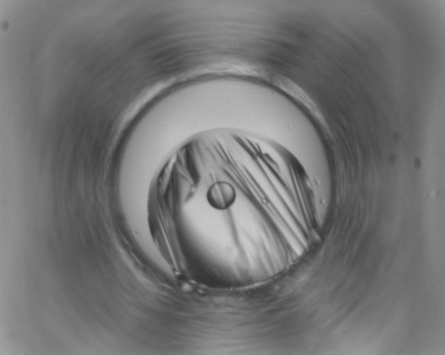 X0000062800436200601191953