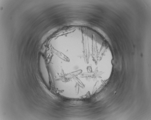 X0000062800437200601191953