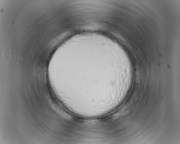 X0000062800446200601191953