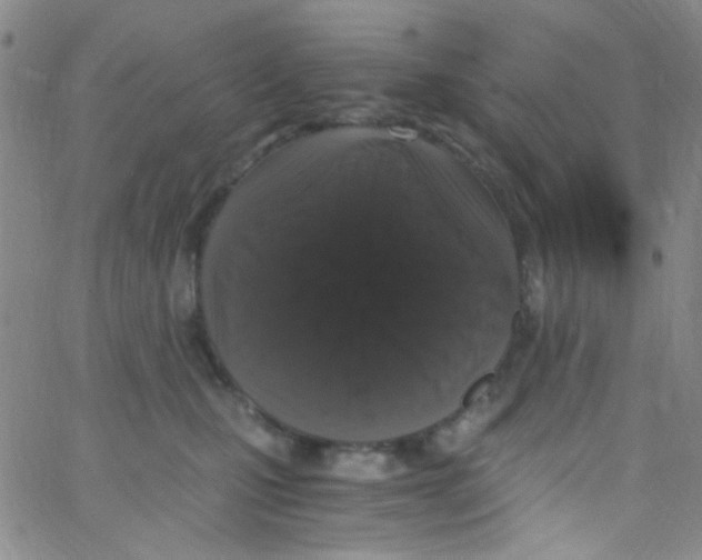 X0000062800471200601191953