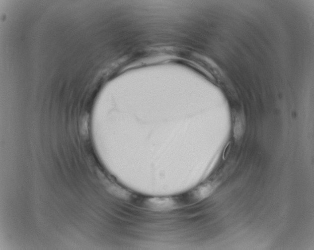 X0000062800477200601191954