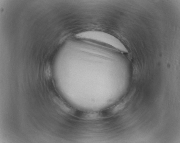 X0000062800479200601191954