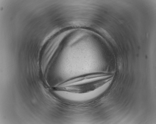 X0000062800488200601191953