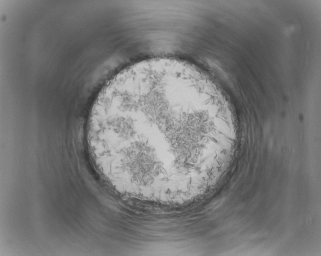 X0000062800495200601191953