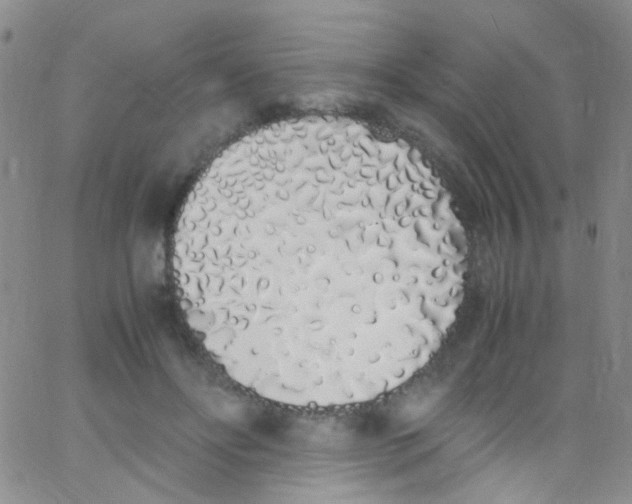 X0000062800502200601191953