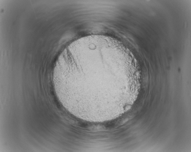 X0000062800503200601191952