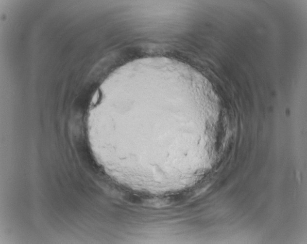 X0000062800511200601191952