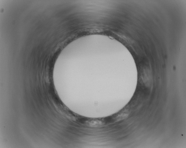 X0000062800512200601191952