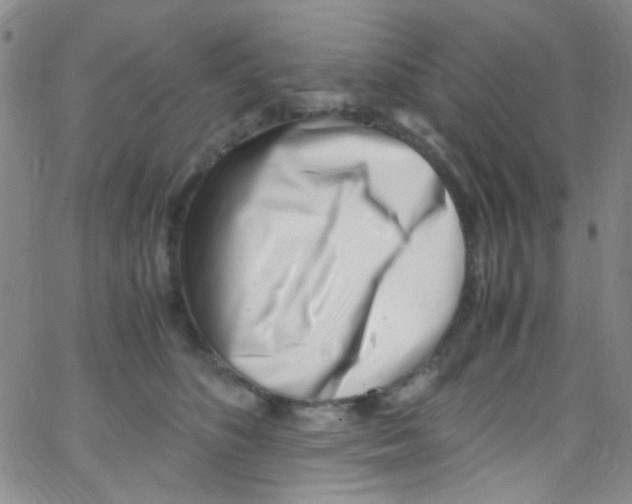 X0000062800516200601191952