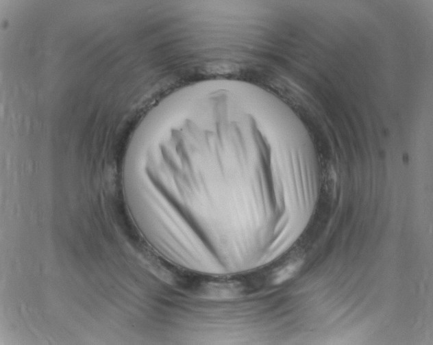 X0000062800556200601191952