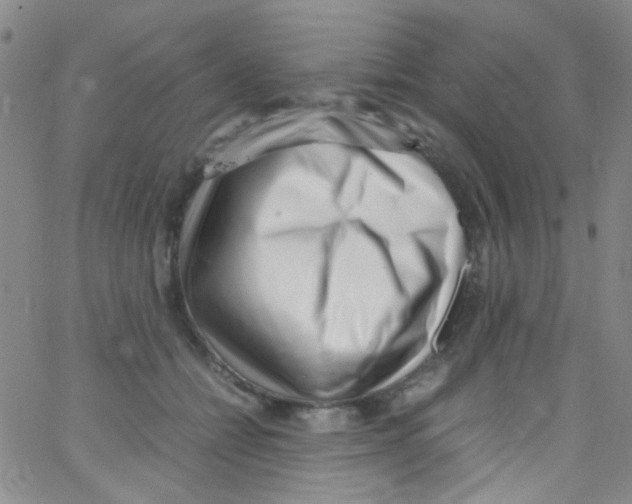 X0000062800558200601191952