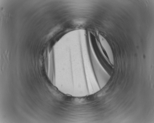X0000062800570200601191952