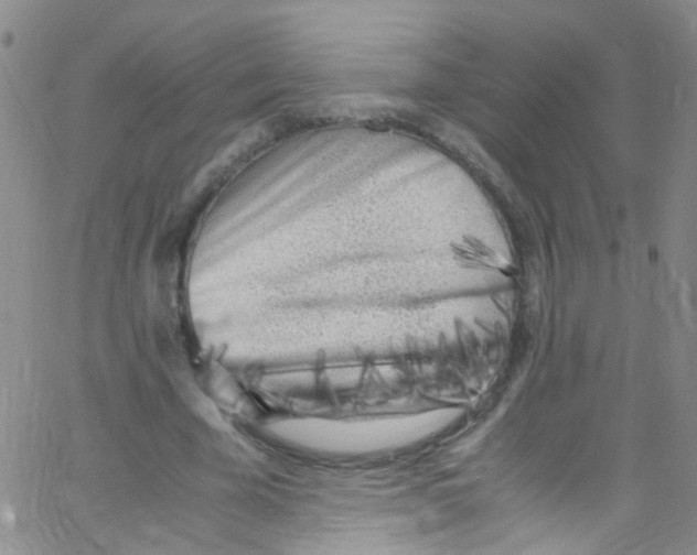 X0000062800585200601191951