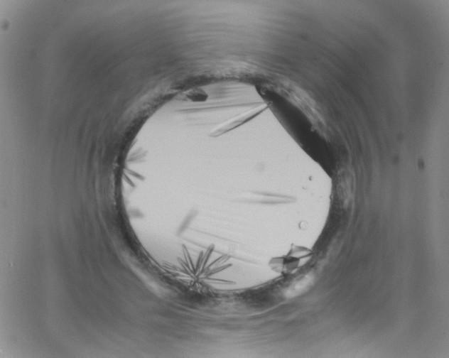 X0000062800589200601191951