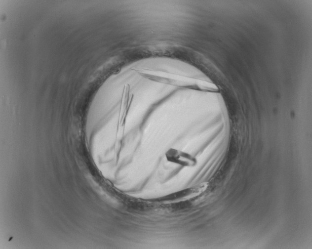 X0000062800593200601191951