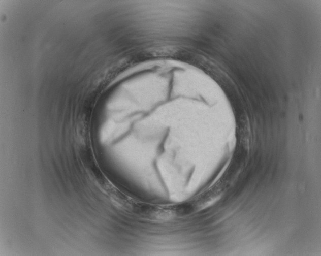 X0000062800604200601191951