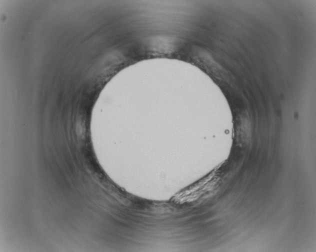 X0000062800608200601191951