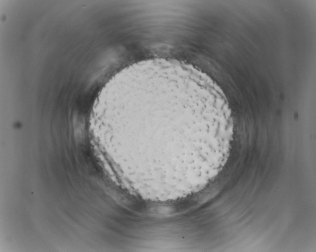 X0000062800610200601191951