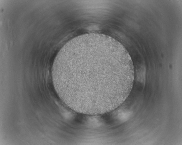 X0000062800618200601191951