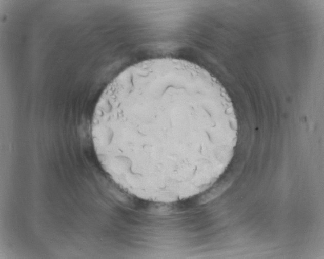 X0000062800624200601191951