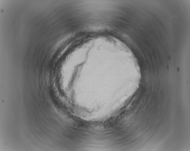 X0000062800640200601191950