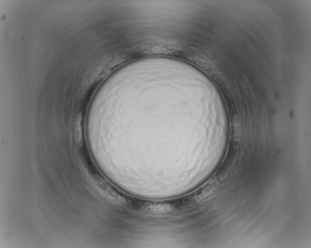 X0000062800642200601191950