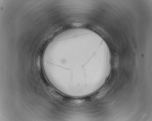 X0000062800646200601191950