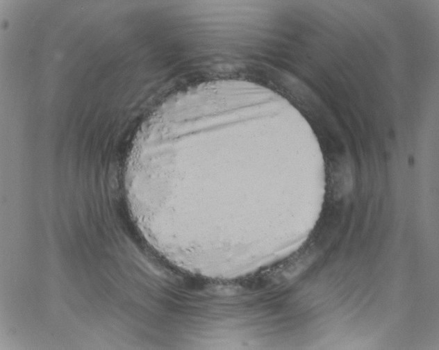 X0000062800654200601191950