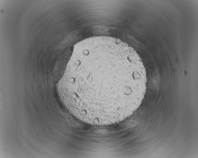 X0000062800658200601191950