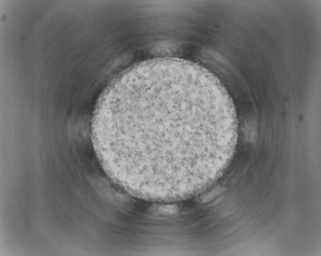 X0000062800665200601191950