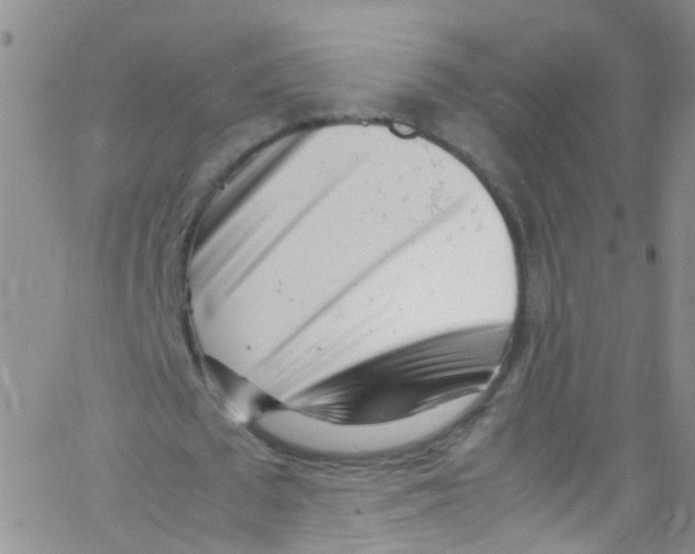 X0000062800673200601191950