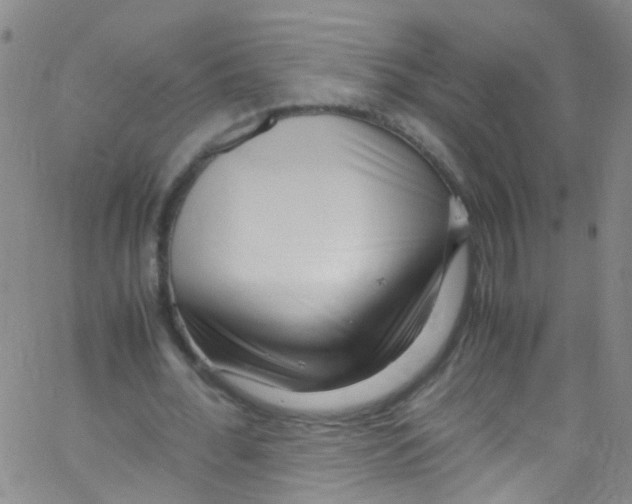 X0000062800676200601191950