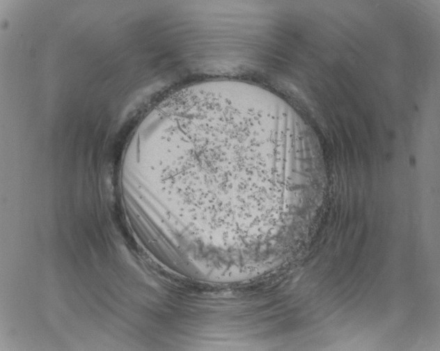 X0000062800688200601191949