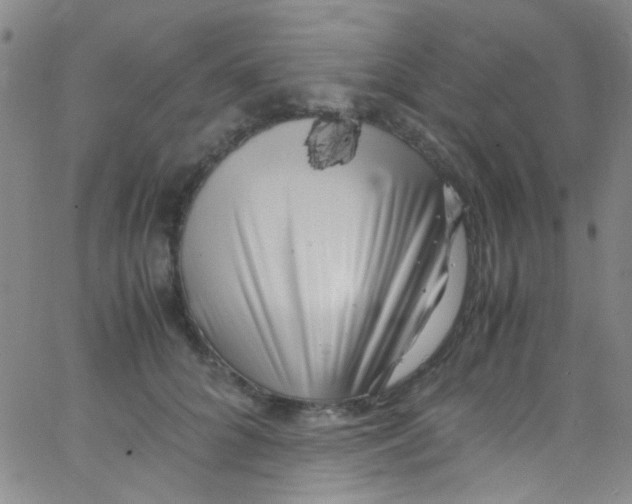 X0000062800704200601191949