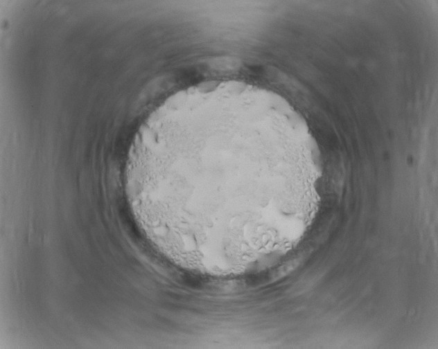 X0000062800711200601191949
