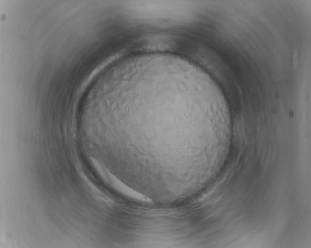 X0000062800722200601191948