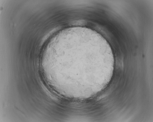 X0000062800725200601191948