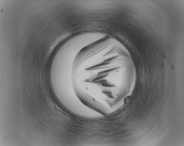 X0000062800731200601191948