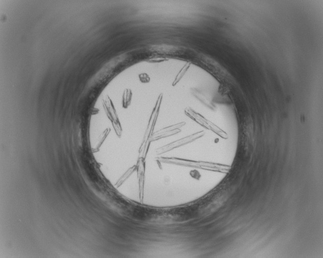 X0000062800734200601191948