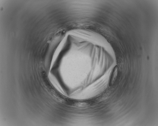 X0000062800748200601191949