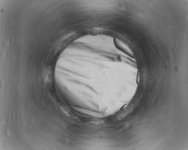 X0000062800760200601191949