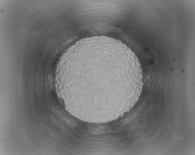 X0000062800772200601191948