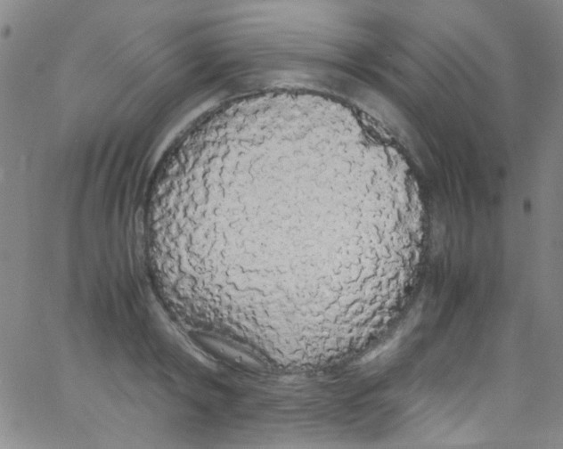 X0000062800798200601191948