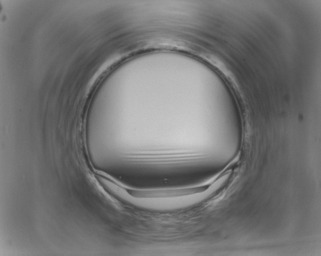 X0000062800799200601191948