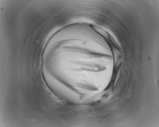X0000062800815200601191947