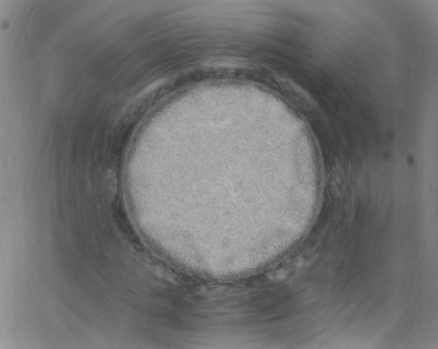 X0000062800821200601191947