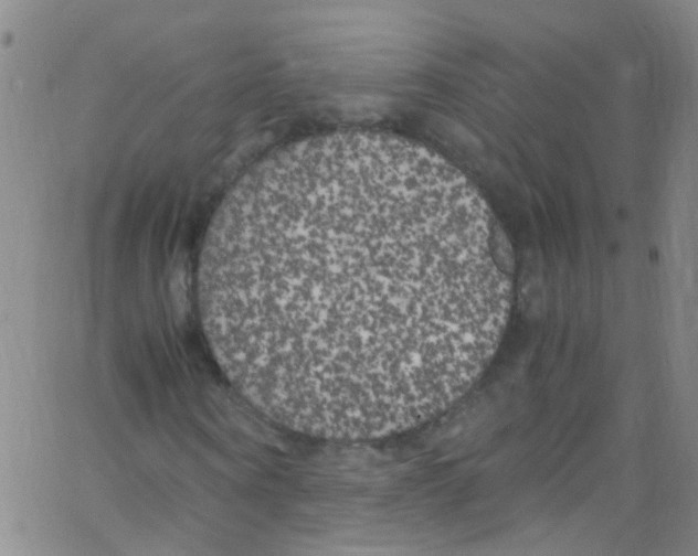 X0000062800866200601191947