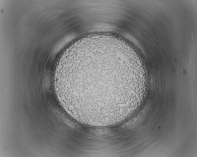 X0000062800874200601191946