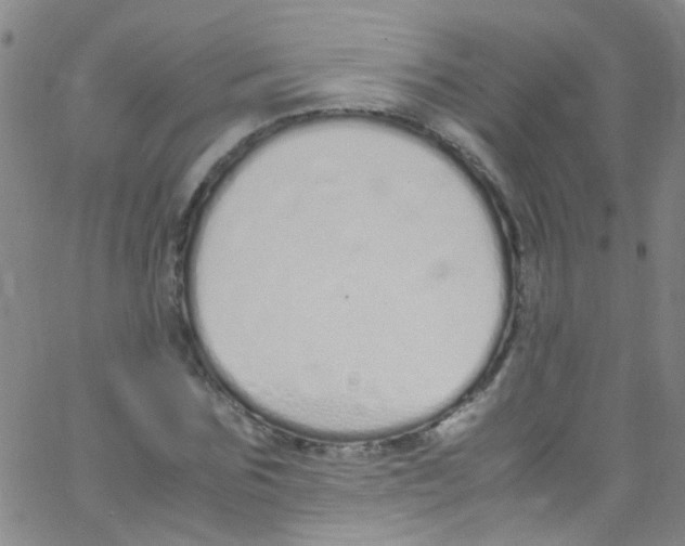 X0000062800875200601191946